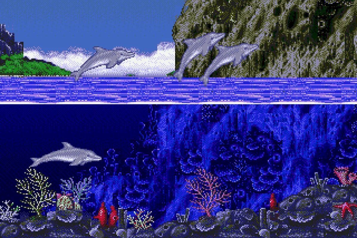 Ecco the Dolphin