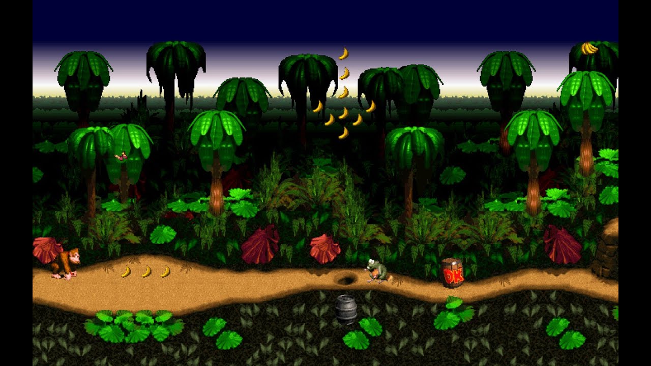 Donkey Kong Country