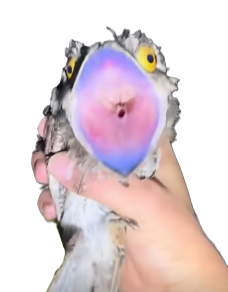 Maksimon