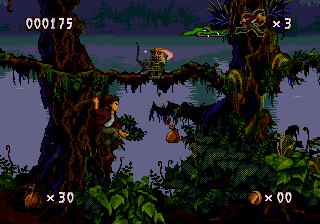 Pitfall: The Mayan Adventure