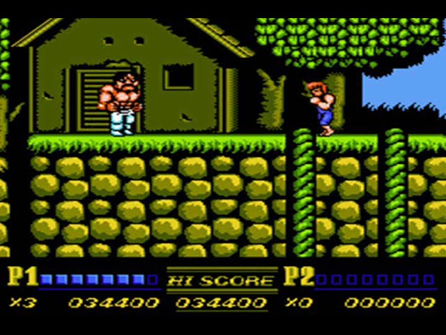 Double Dragon II: The Revenge